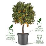 algarve cilindro 25cm anthracite